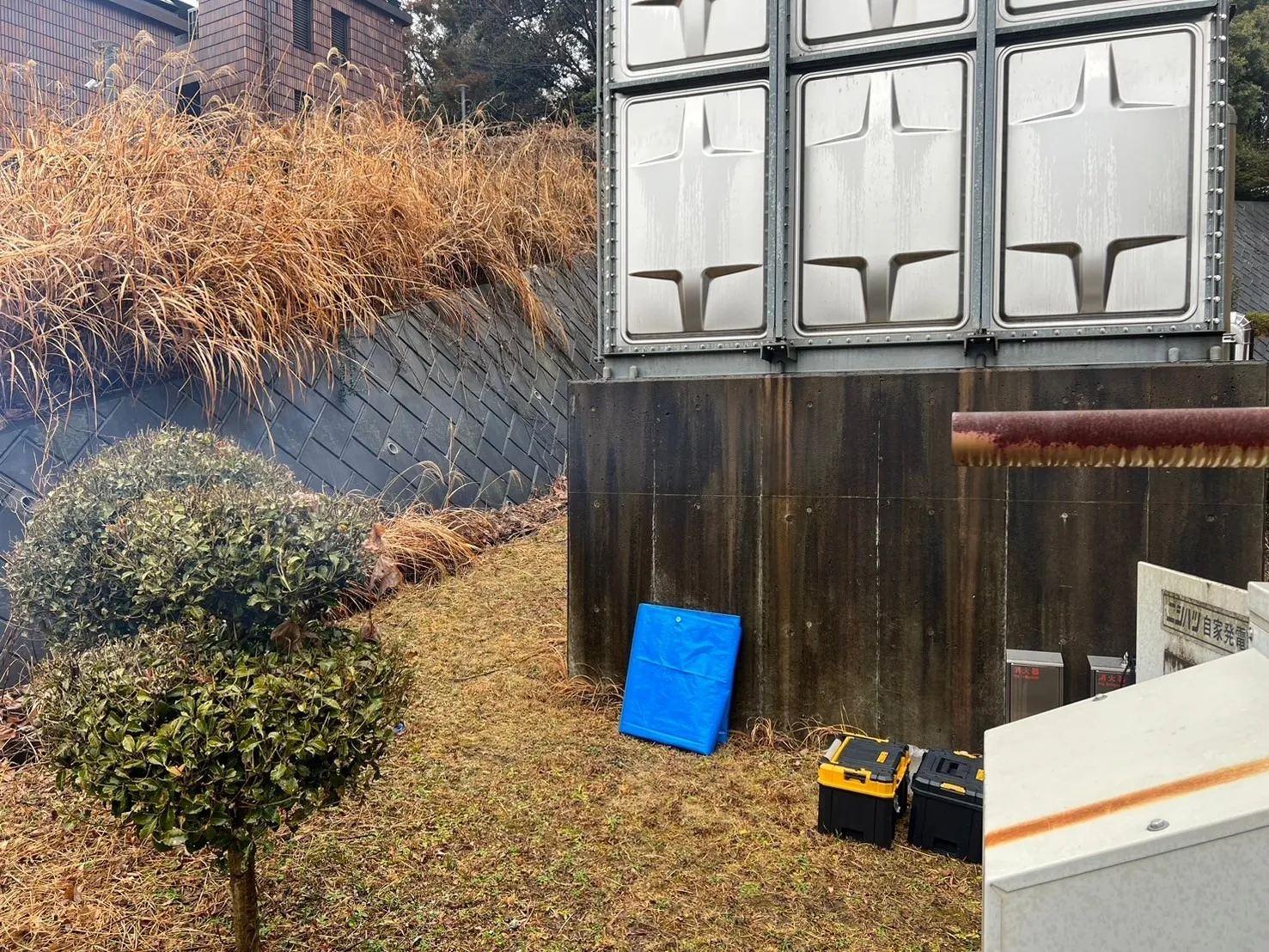 試運転時の排煙状況