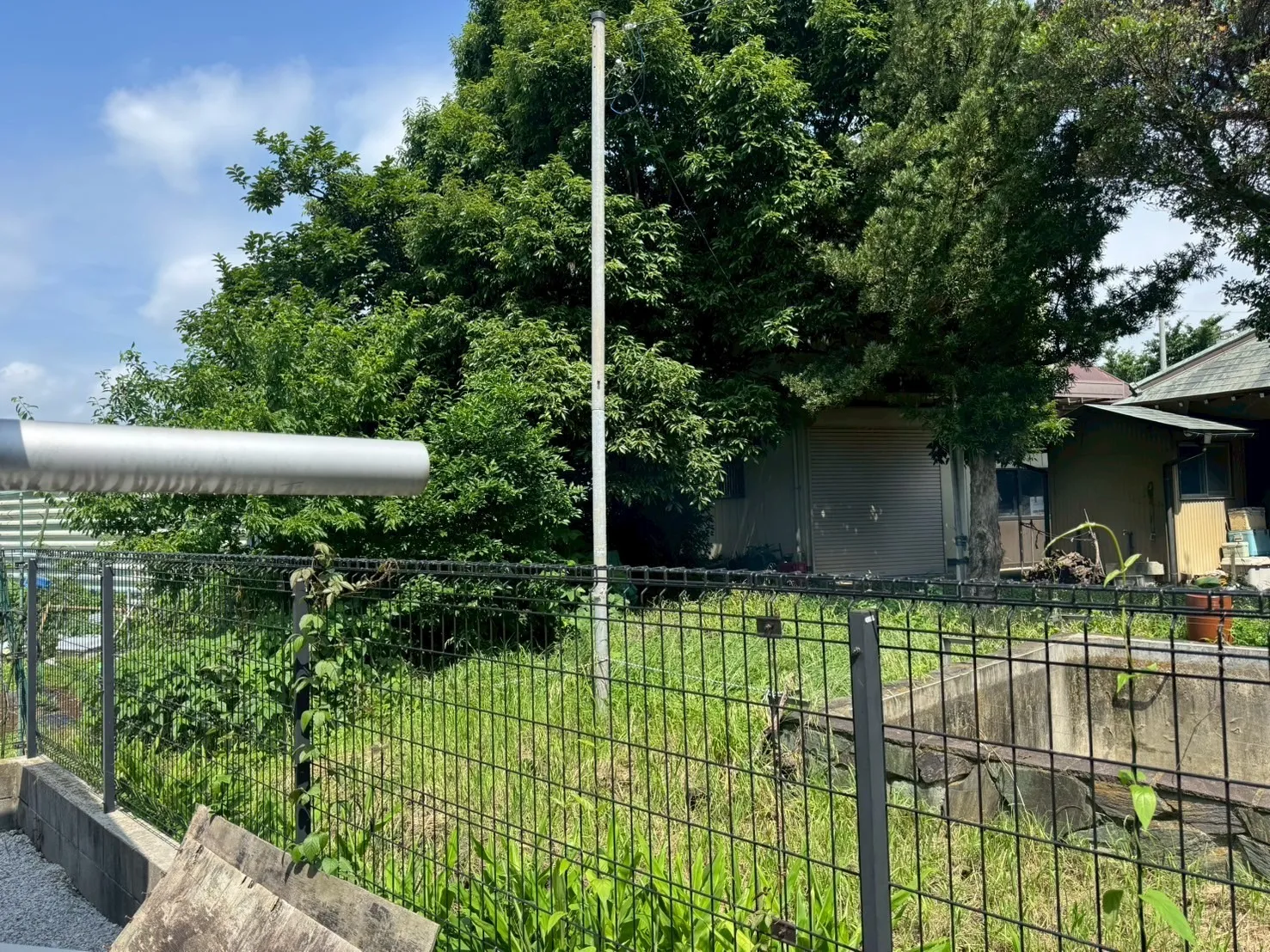 試験終盤の排煙状況